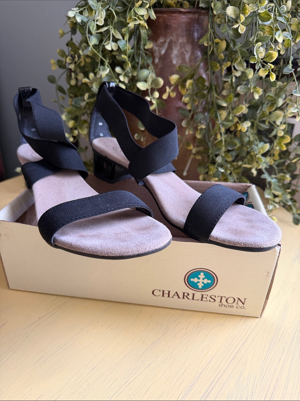 Charleston shoe co Black Elastic Low Block Heel Sandals